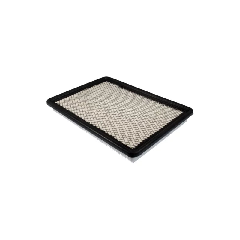 Air Filter for  GM 22679620
